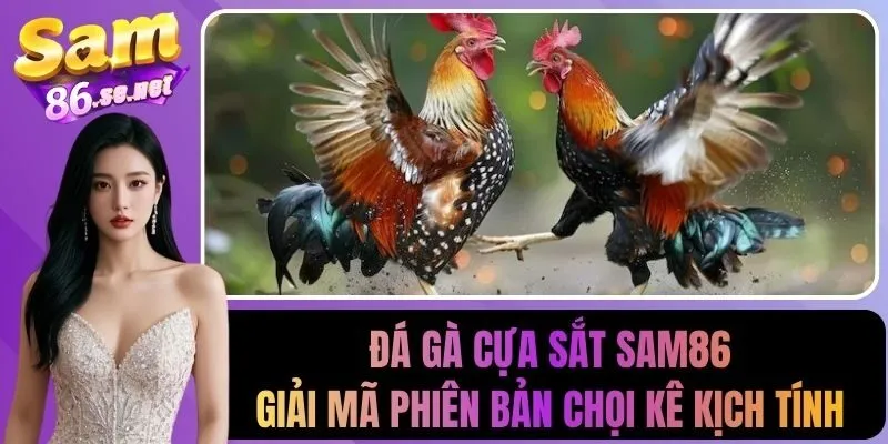 Đá gà cựa sắt
