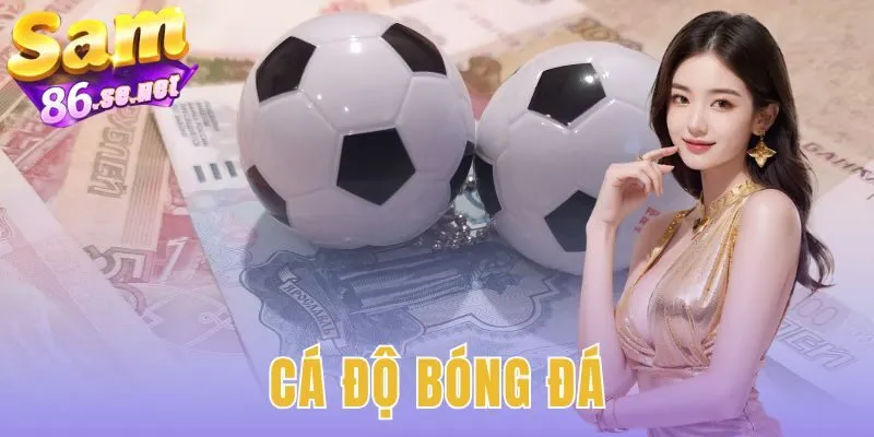 Cá Độ Bóng Đá