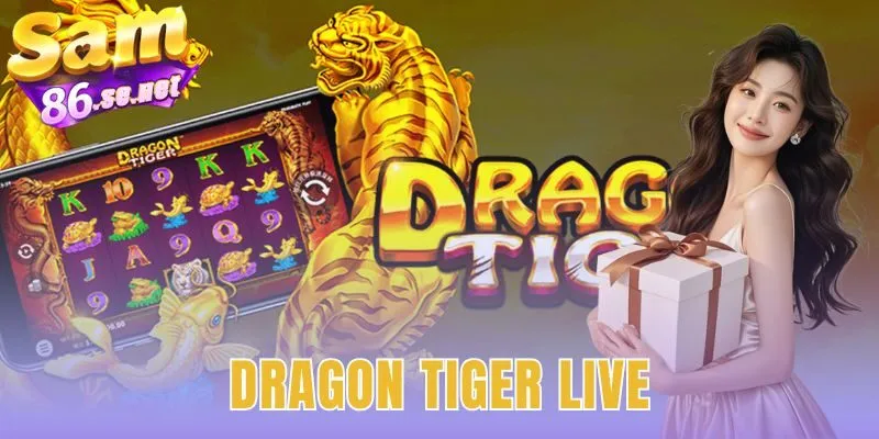 Dragon Tiger Live